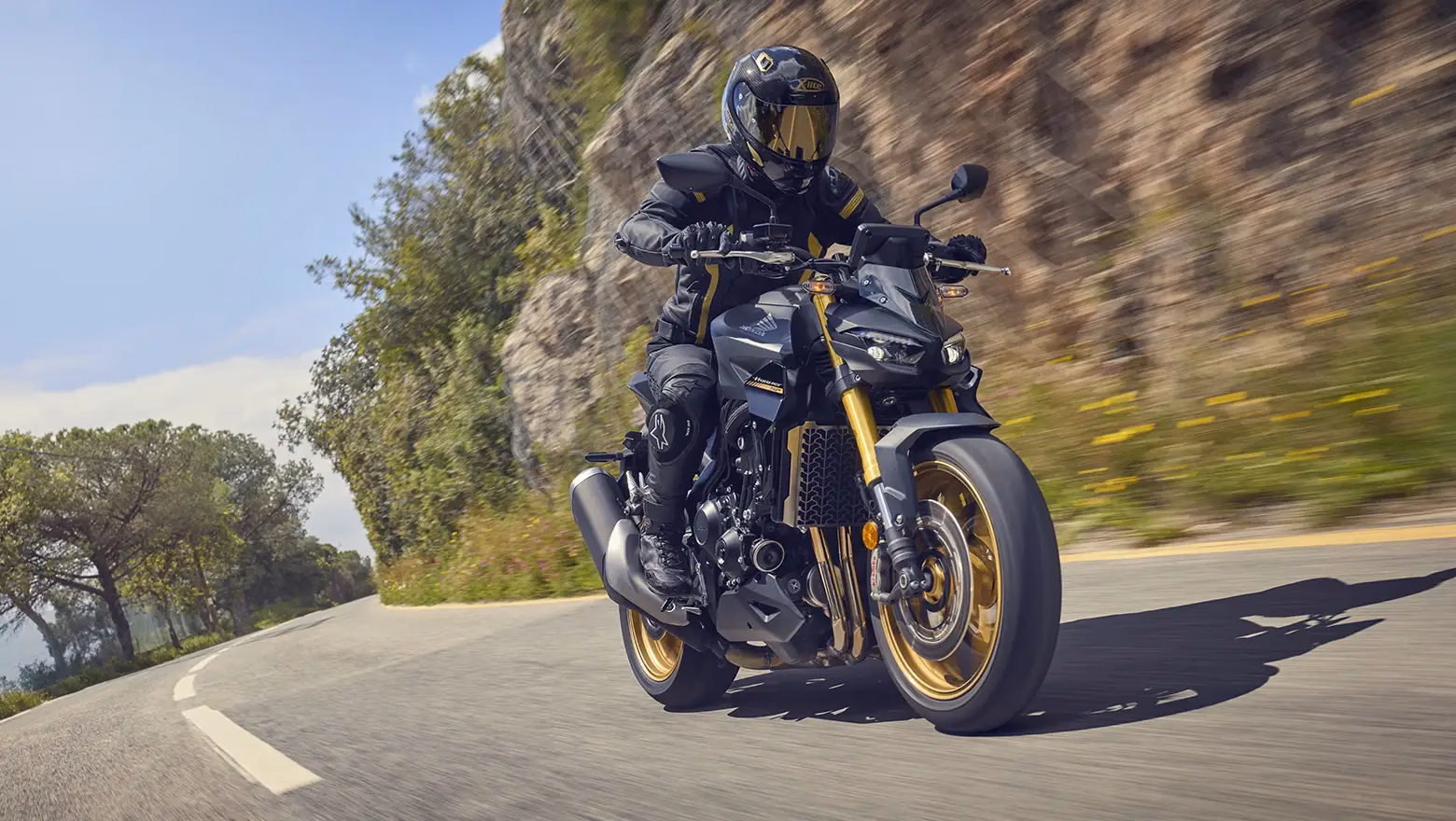 Honda Cb1000 Hornet Galeria 1 - 1 de 23