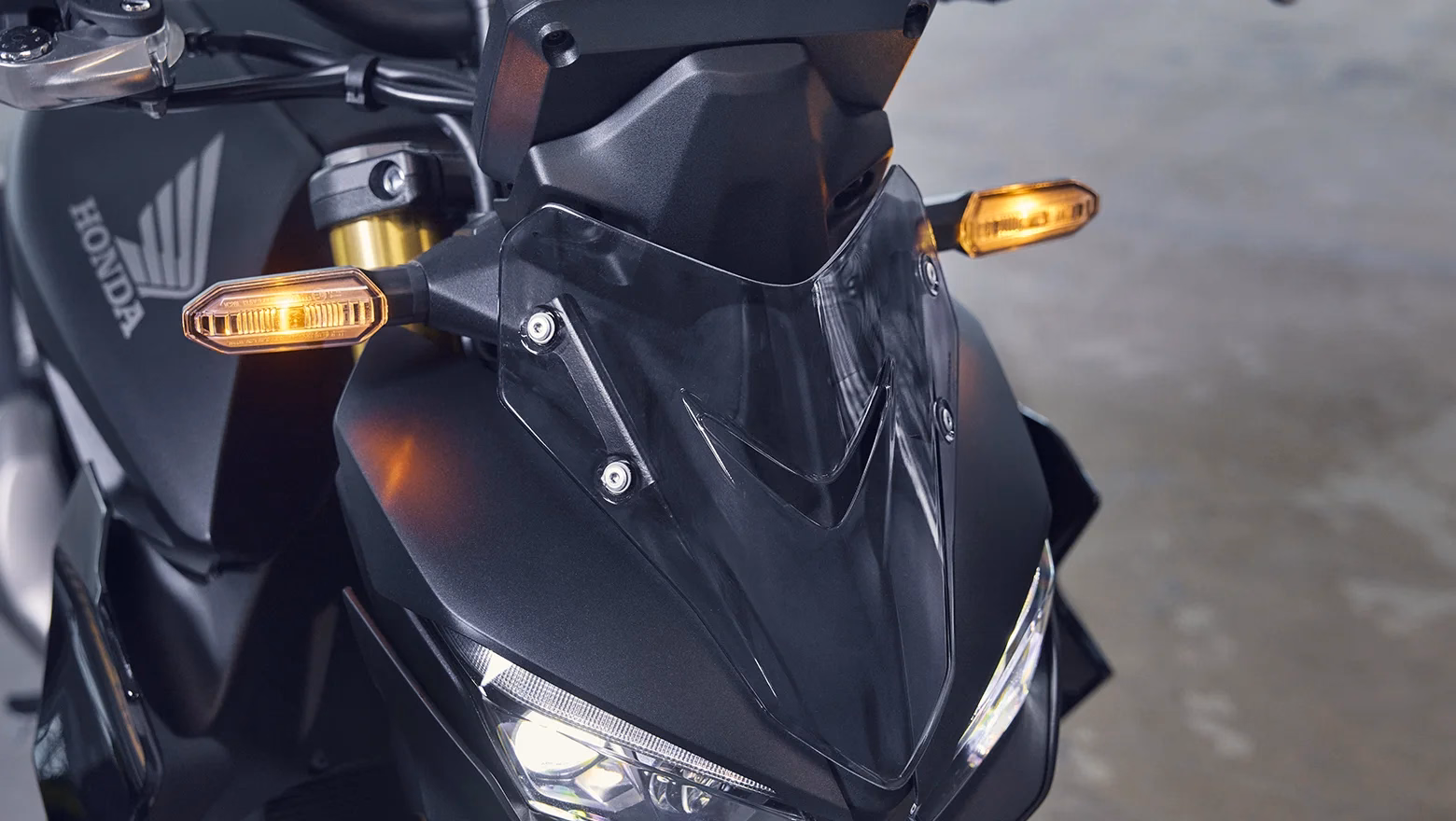Honda Cb1000 Hornet Galeria 7 - 7 de 23