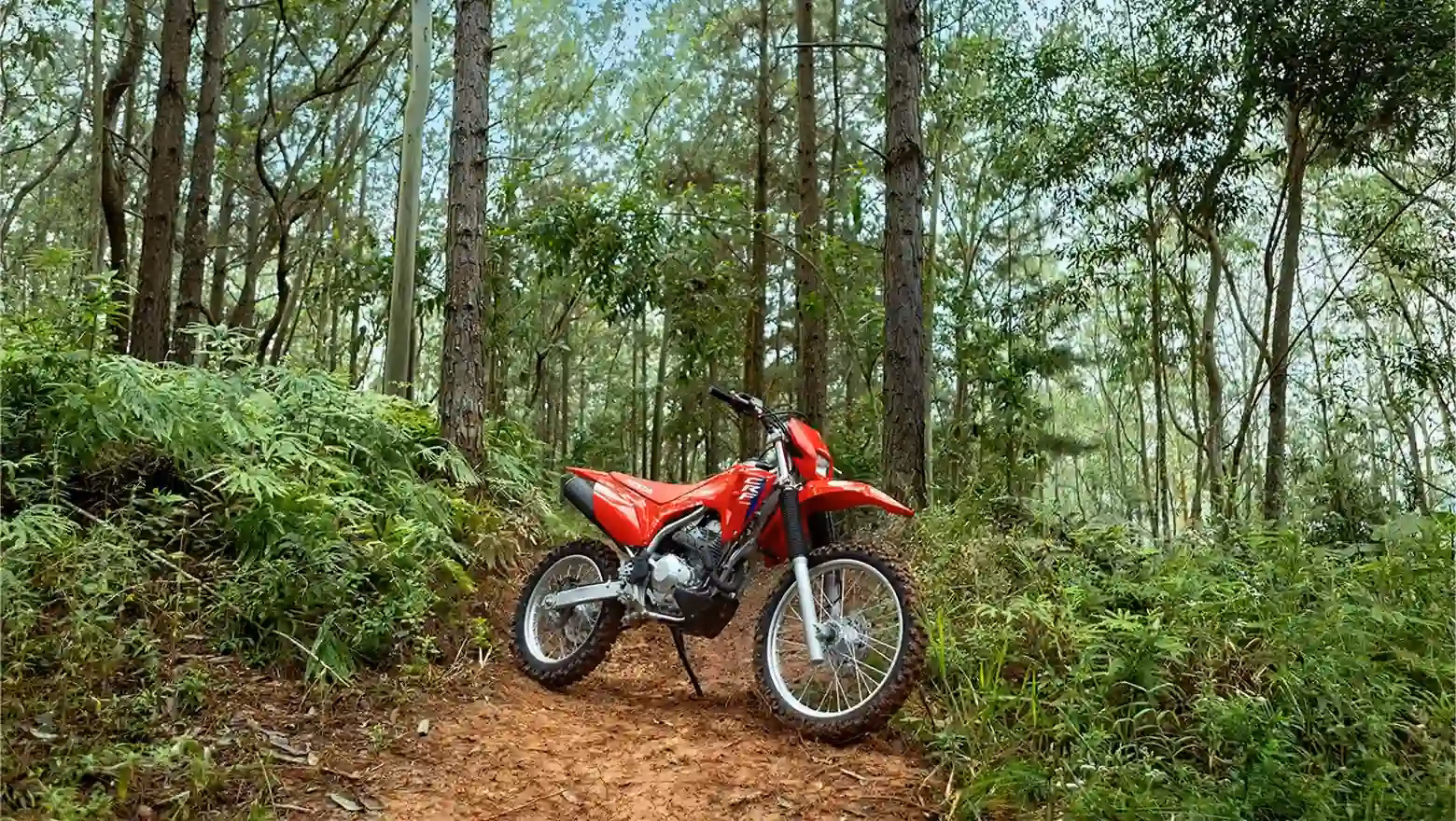 Moto Crf 300f Galeria 4 - 4 de 4