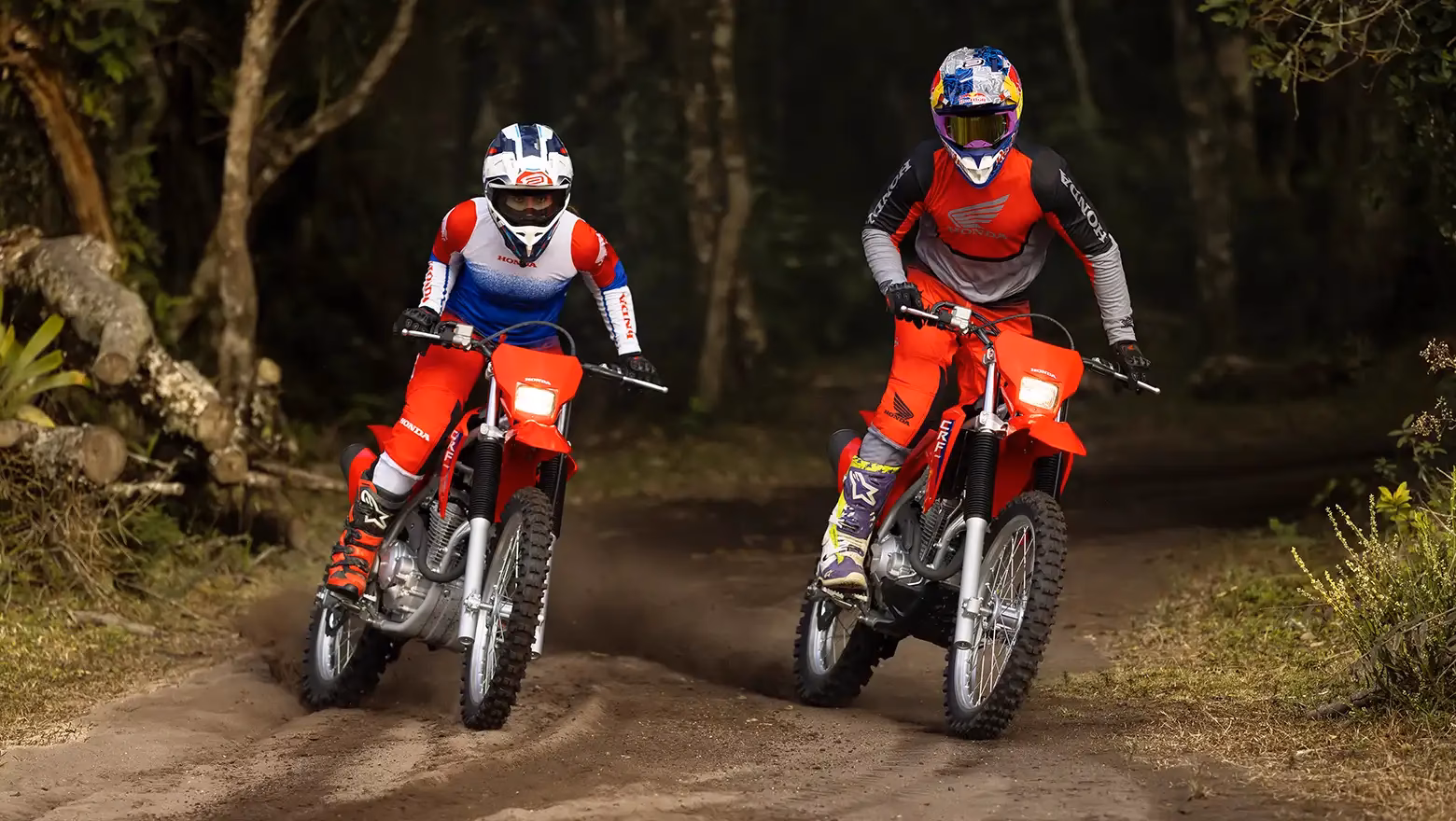 CRF 300F em ação em trilha off-road - 4 de 7