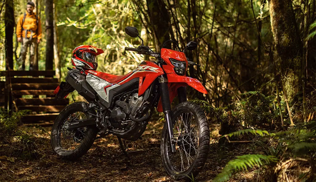 XR 300L Tornado diferenciais - 12 de 22