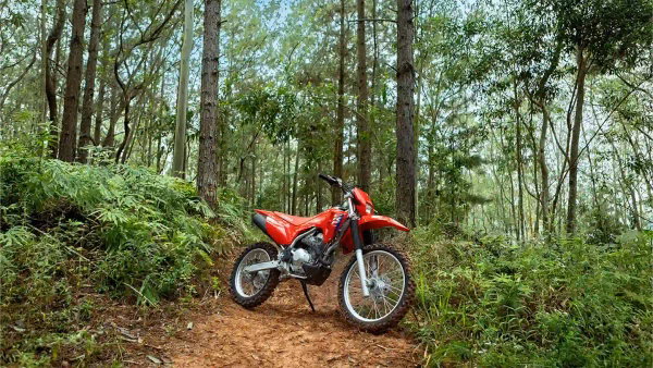 Moto Crf 300f Galeria 4