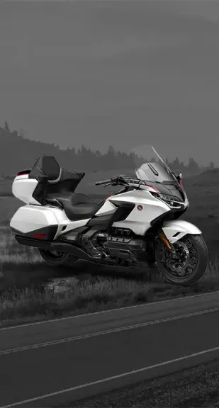 GL1800 Gold Wing Tour